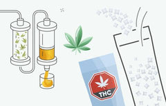 See How We Grow: Dissolvable Powders