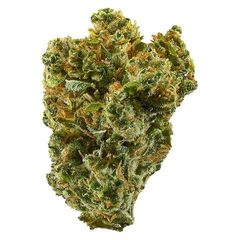 Super Silver Haze Photo