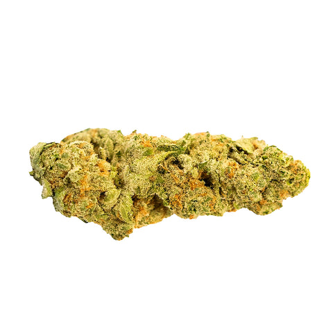 Oaxacan Haze Photo