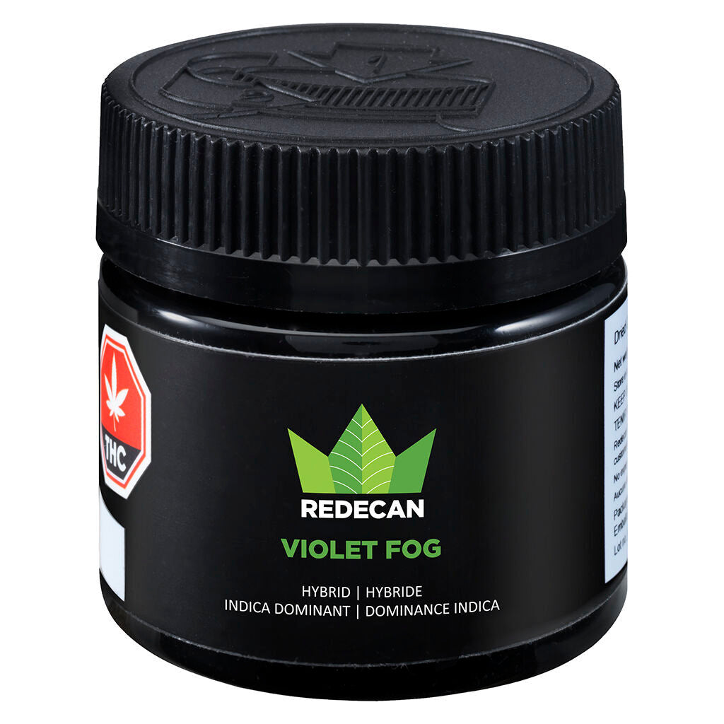 Violet Fog - 