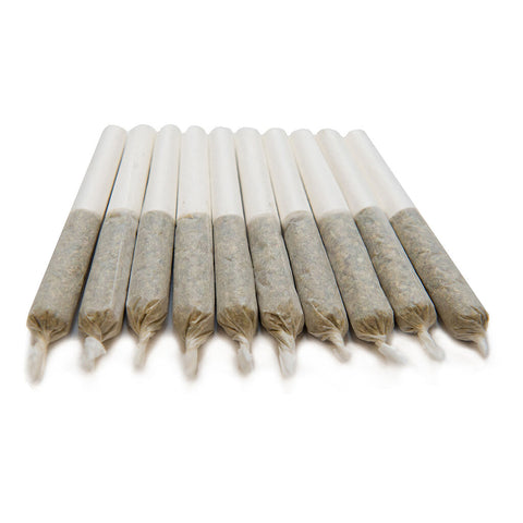 Mango Haze Pre-Rolls Photo