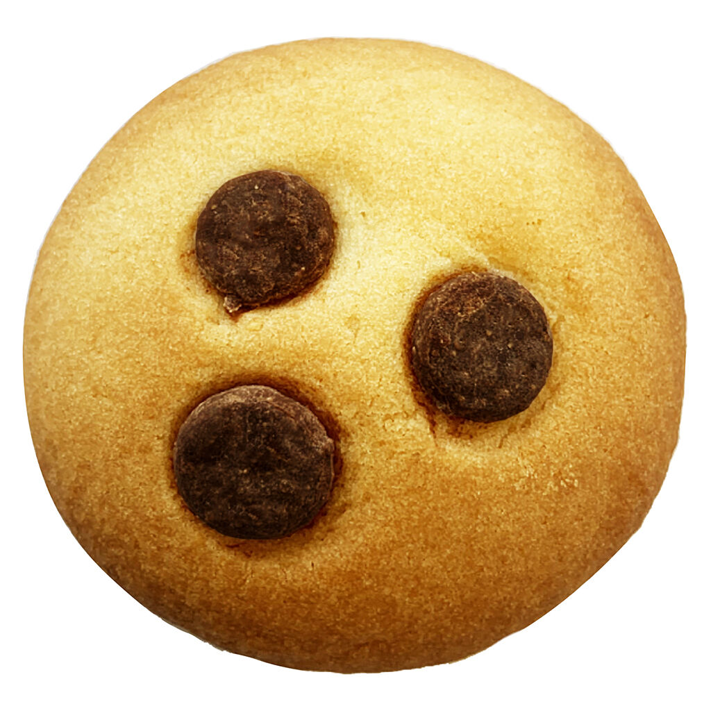 Chocolate Chip Biscuit - 