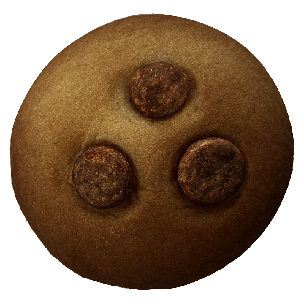 Double Chocolate Chip Biscuit - 