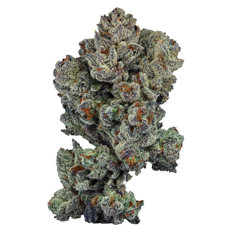 Photo Rotational 1 Jar