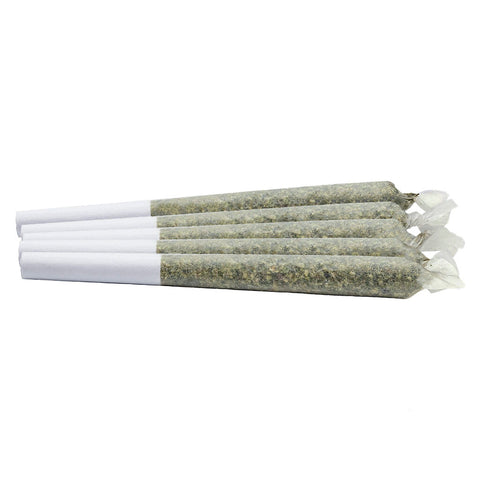 Photo Dayshift High Pre-roll