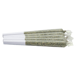 Photo Dayshift High Pre-roll