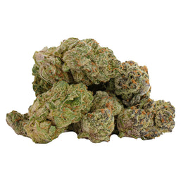Photo Glitterbomb X Rainbow Cheddar #5