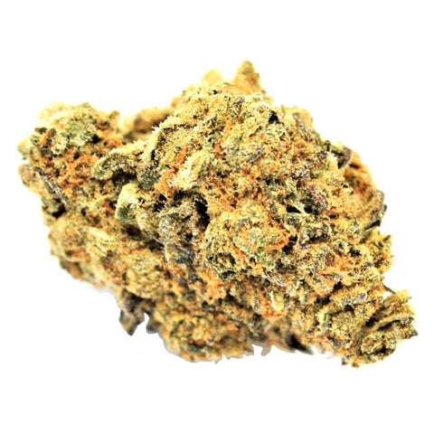 Orange Jet Fuel Flower Photo