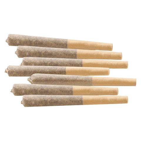 Photo Nostalgia Craft Infused Pre-Roll