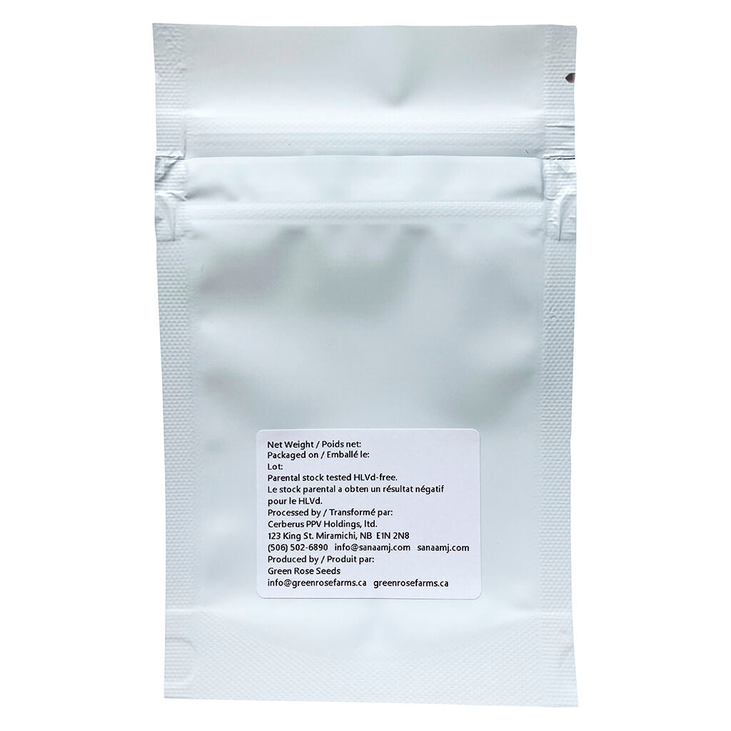 White Lights Seeds - 