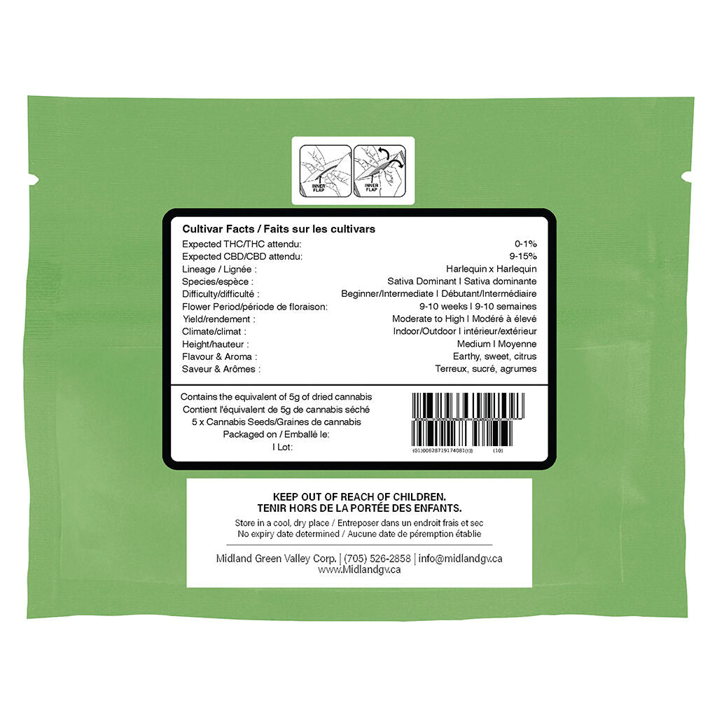 Harlequin CBD Feminized Seeds - 