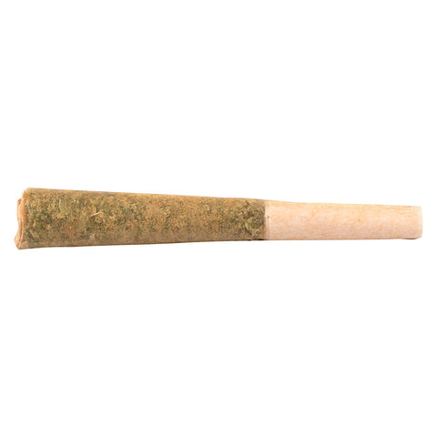 Photo Préroulé Purple Biscotti