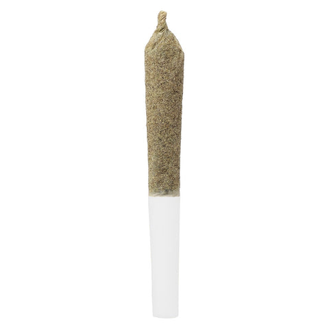 Infused Cherry Temple Pre-Roll Photo