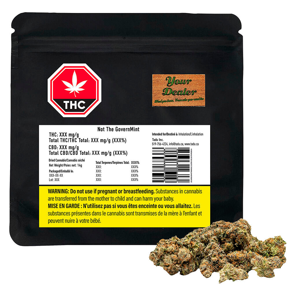 Not The GovernMINT - 