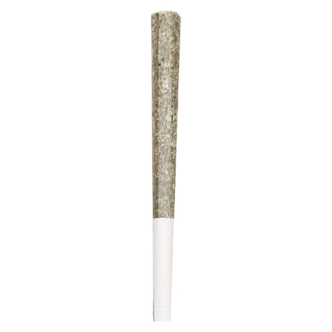 Photo Royal One - Vault Series Pre-Roll