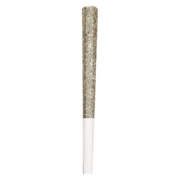 Photo Royal One - Vault Series Pre-Roll