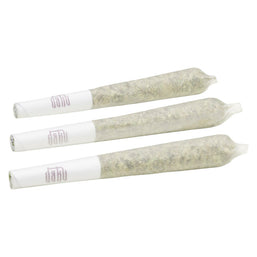 Photo Gelato #4 Pre-roll