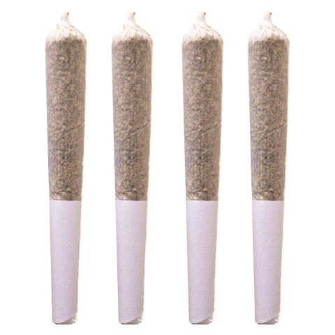 Orange Layer Cake Pre-Roll Photo