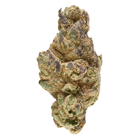 Photo Orbital Indica Drop