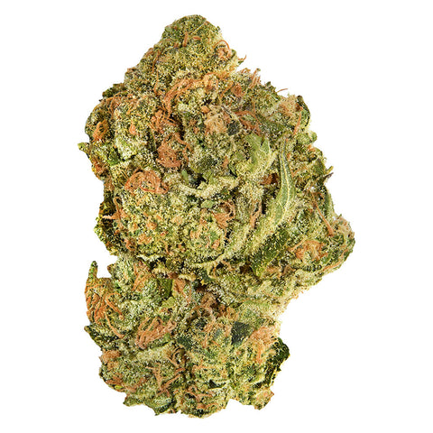 Photo Brand New Buds