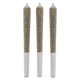 Photo Rainbow Marker Pre-Roll