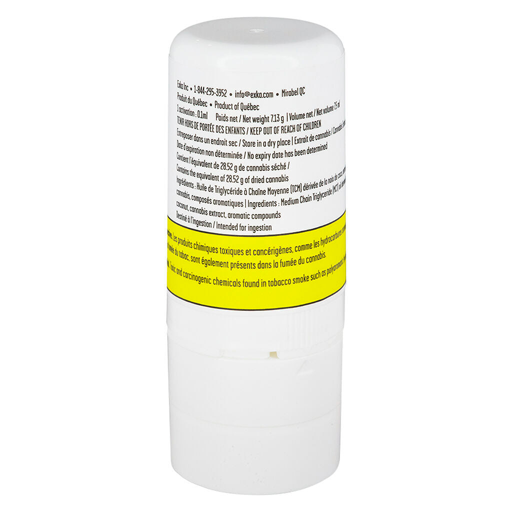Splash Citrus XL - 