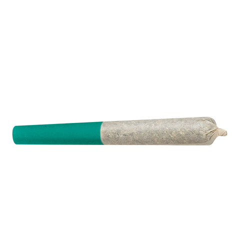 Photo Amsterdam n' Gold Hash