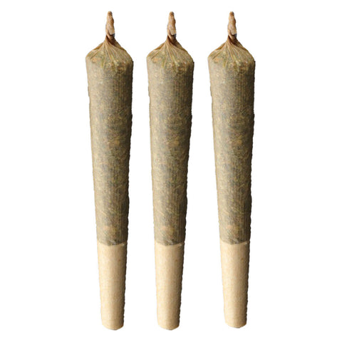 Sativa 20 Plus Pre-Roll Photo