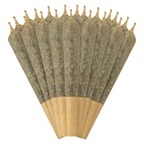 Photo AM/PM Blunts