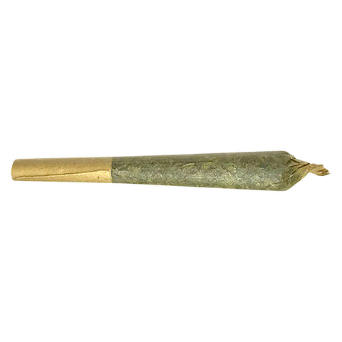 Jack Herer Pre-Roll Photo