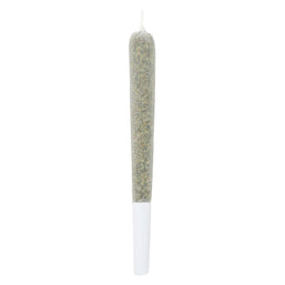 Photo Black Cherry Soda Pre-Rolled Craft Cannabis