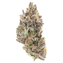 Photo Sarah's Stash Indica Dominant Flower