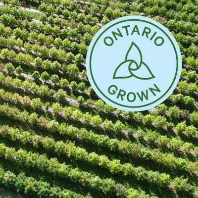 Image Ontario Grown