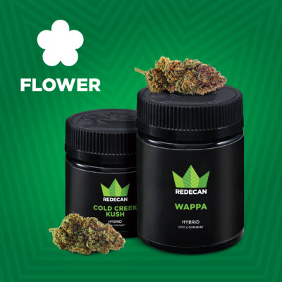 Redecan Brand Page en 1