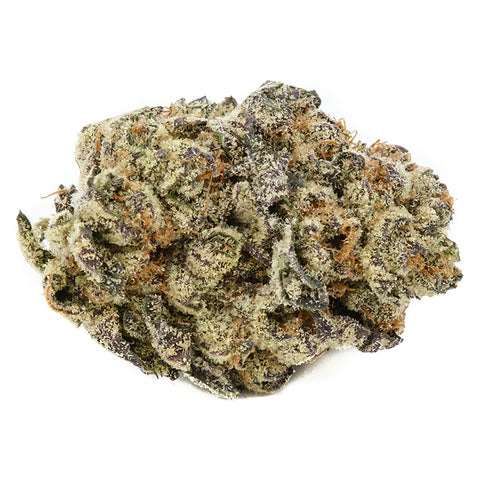 Animal Mints Photo