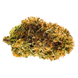 Photo Lilac Diesel Crowns