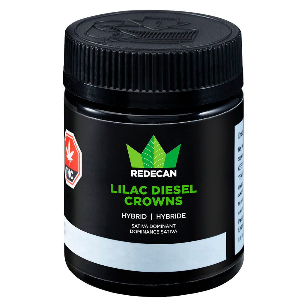 Lilac Diesel Crowns - 