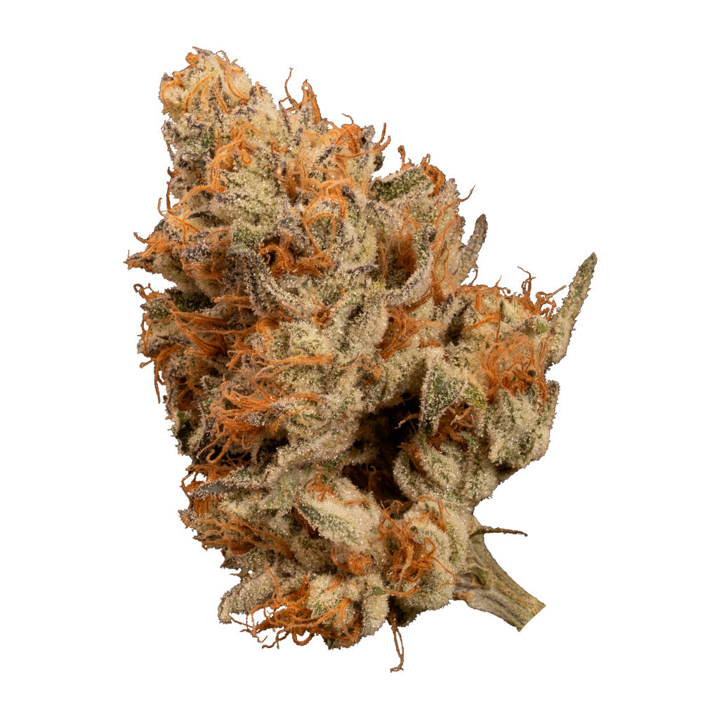 Bacio Punch #8 - 