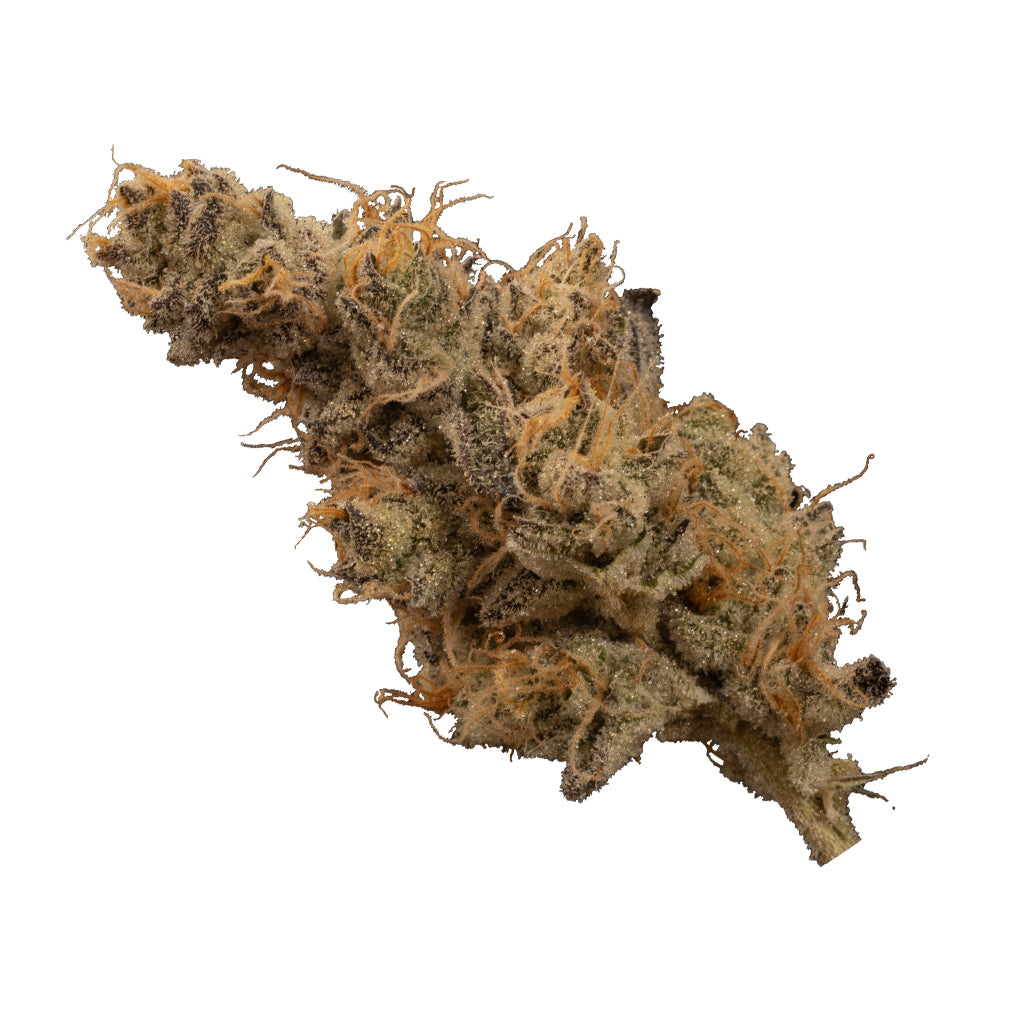 Dosi-GMOsi #6 - 