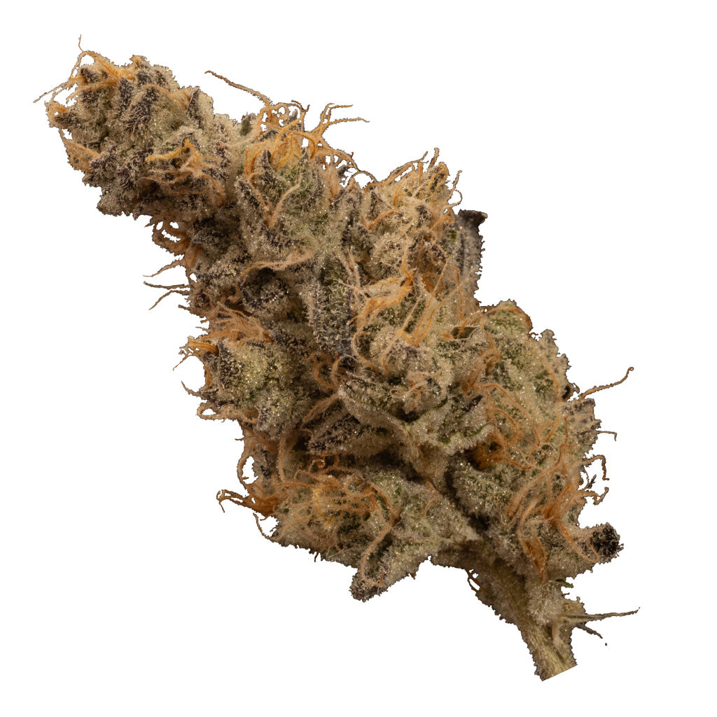 Dosi-GMOsi #6 - 