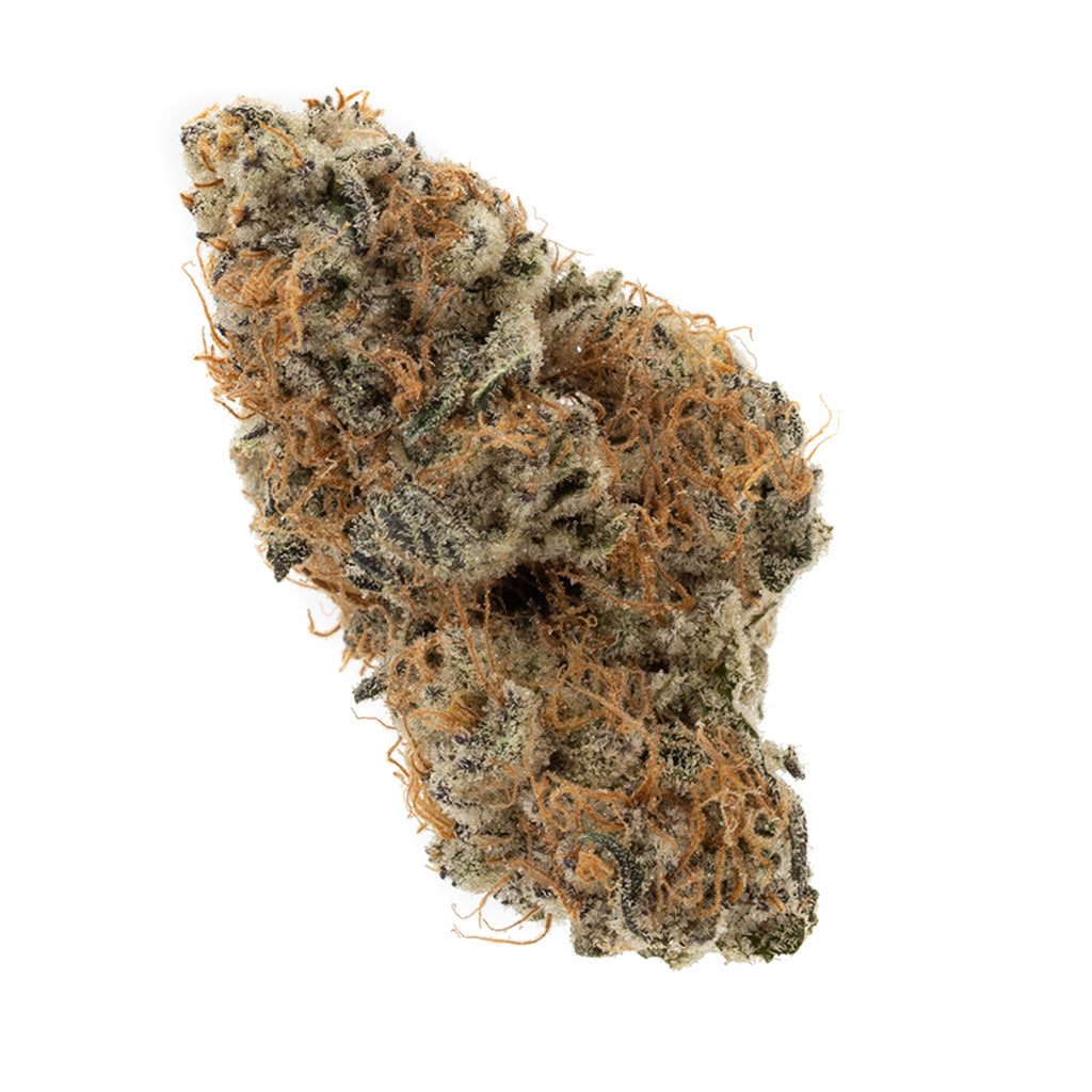 dosi-GMOsi #13 - 
