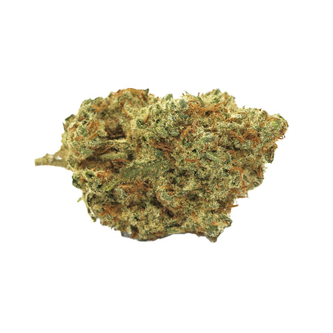 Photo Sun County Kush