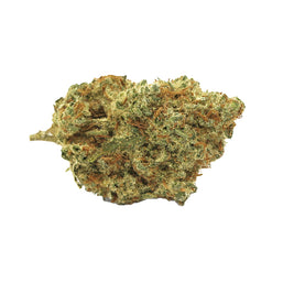 Photo Sun County Kush