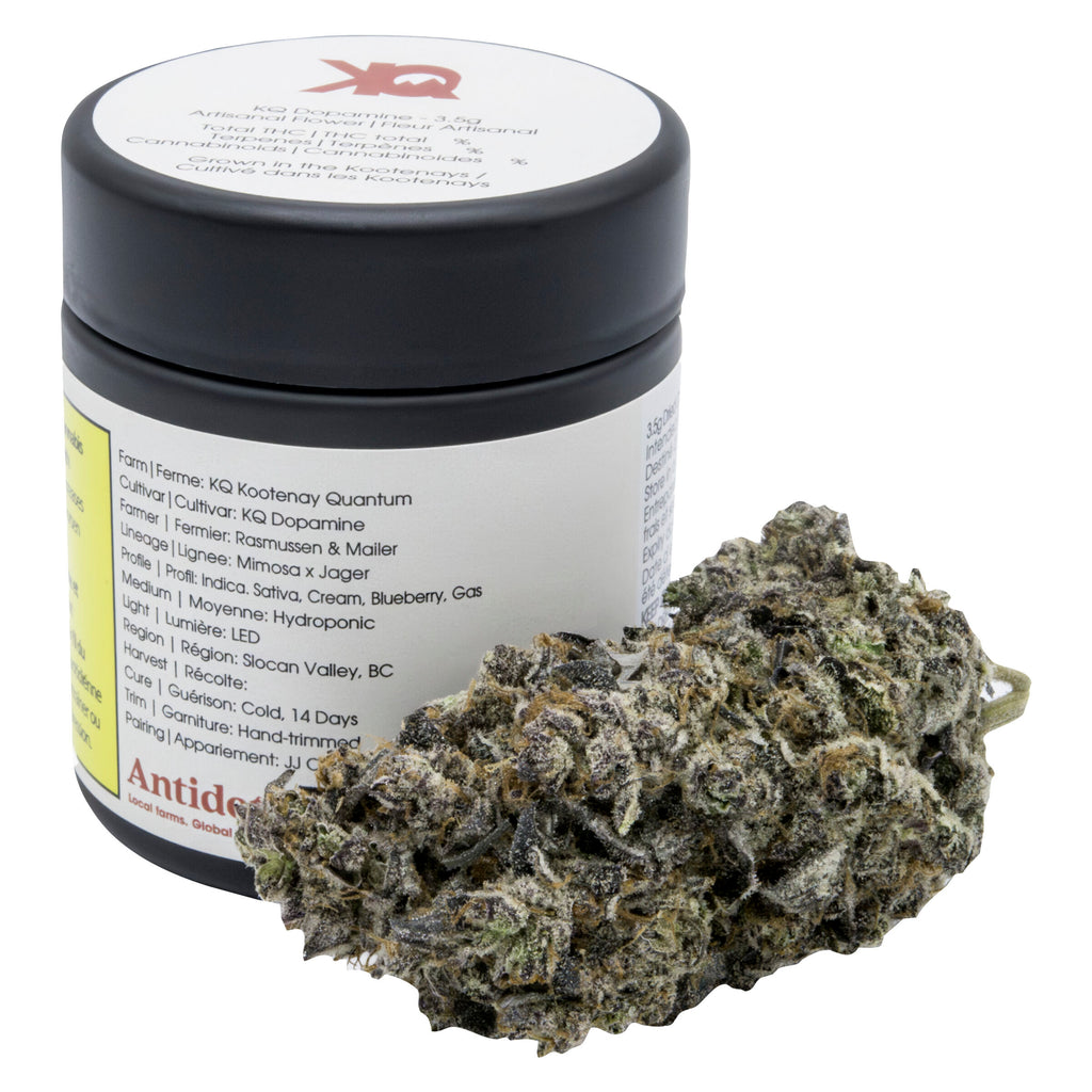 Dopamine - 