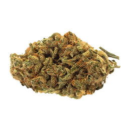 Photo Indica Bud
