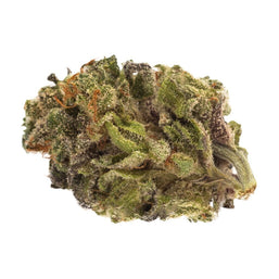Photo Sativa Bud