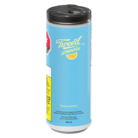 Sparkling Lemonade Photo