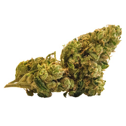 Photo Super Lemon Haze