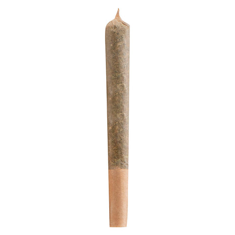 Photo Infused Blueberry Kola + CBG Pre-Roll