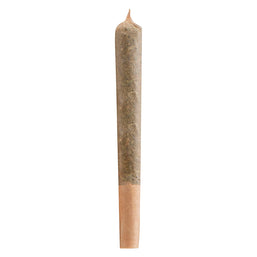 Photo Infused Blueberry Kola + CBG Pre-Roll